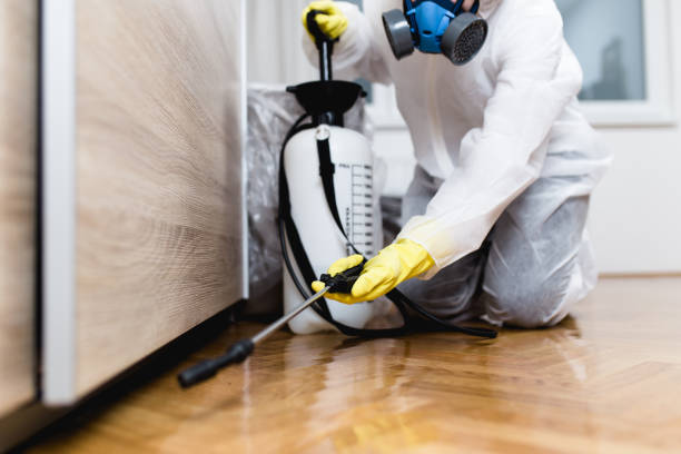 Best Affordable Pest Control Services  in Altamont, KS