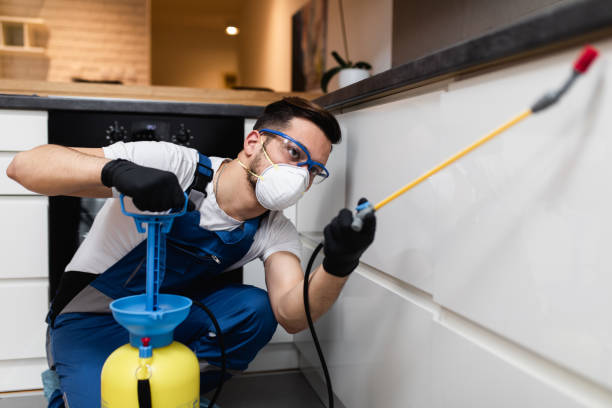 Best Emergency Pest Control  in Altamont, KS