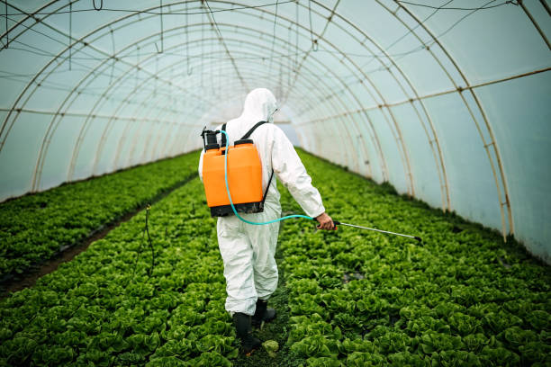Best Residential Pest Control  in Altamont, KS