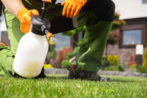 Best Pest Inspection Near Me  in Altamont, KS