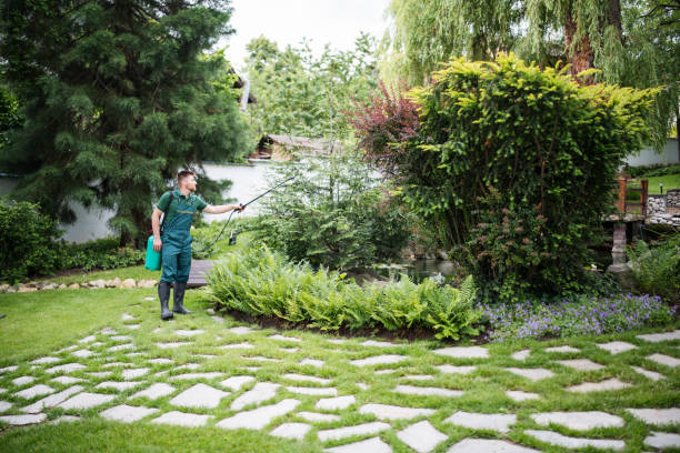 Best Pest Control Near Me in Altamont, KS