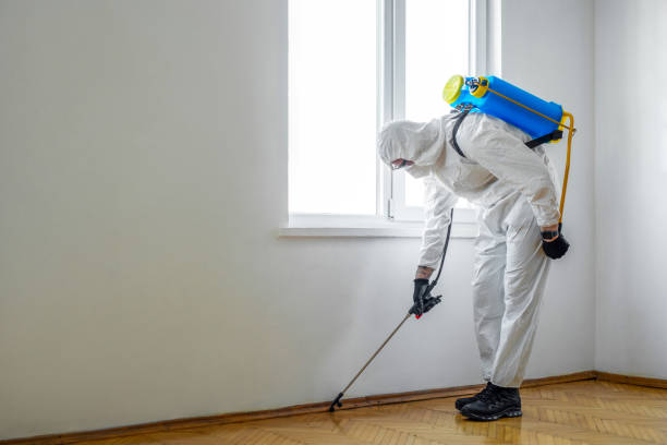 Best Flea Control Services  in Altamont, KS
