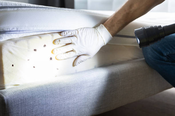 Best Pest Prevention Services  in Altamont, KS