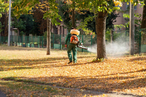 Pest Prevention Services in Altamont, KS