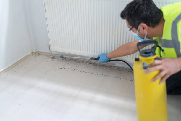 Best Pest Control Near Me  in Altamont, KS