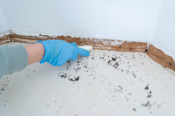 Best Affordable Exterminators  in Altamont, KS