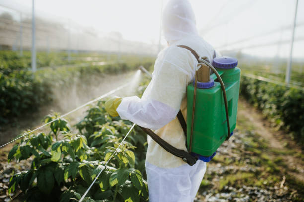 Best Flea Control Services  in Altamont, KS